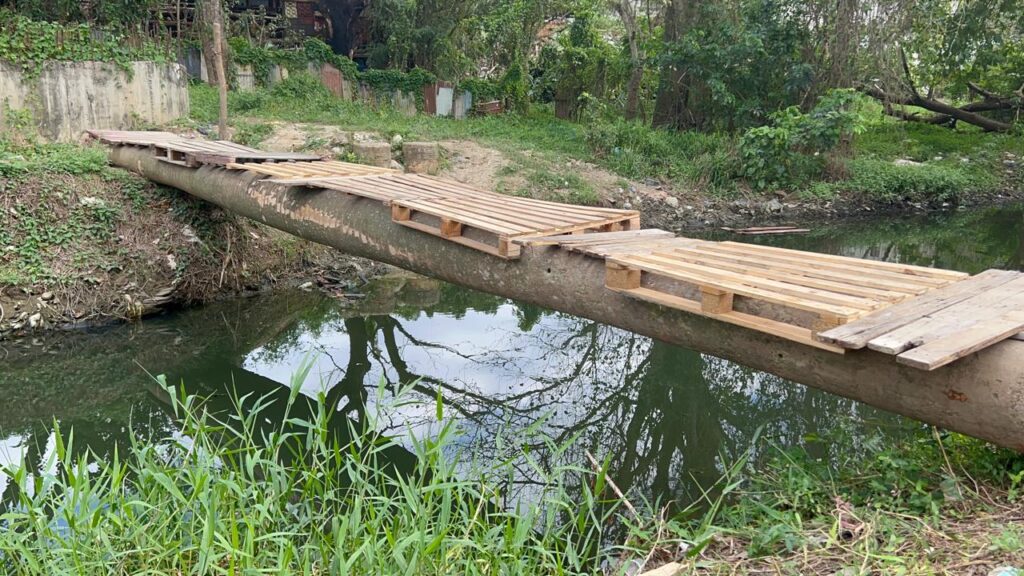 Comunitarios levantan puente de palmas para evitar que niños crucen el Ozama en riesgo