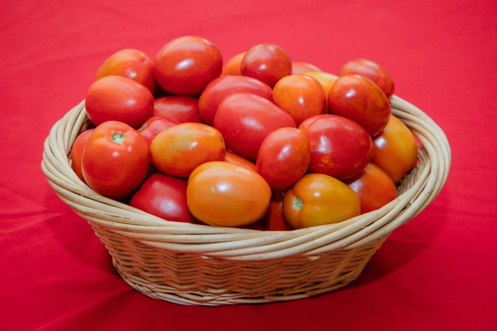 Festival del Tomate Azua 2026 se consolida con el respaldo del Presidente Luis Abinader
