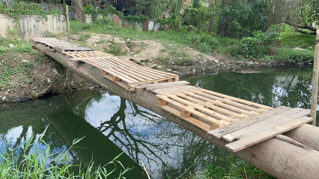 Comunitarios construyen puente de palmeras para que niños no arriesguen la vida cruzando el Ozama