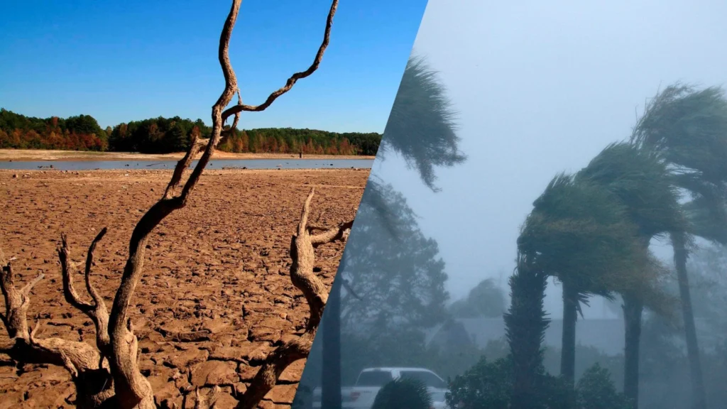 Que es el fenómeno “Súper niño” que plantea la Organización Mundial de Meteorología